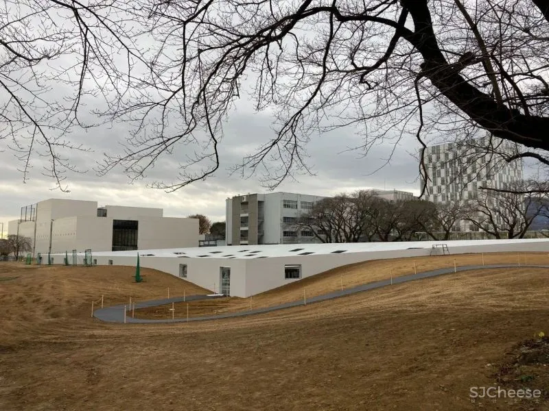 石上纯也新作,屋顶有59个洞,却没一根柱子!