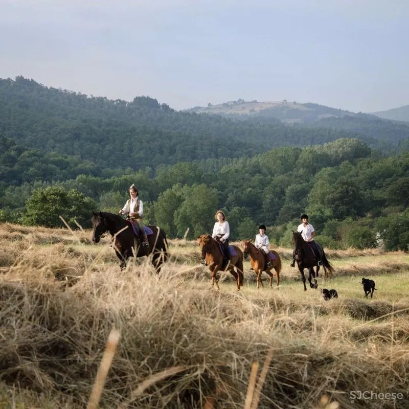 永 恒 的 静 修 一千多年历史的意大利城堡庄园酒店揭幕!