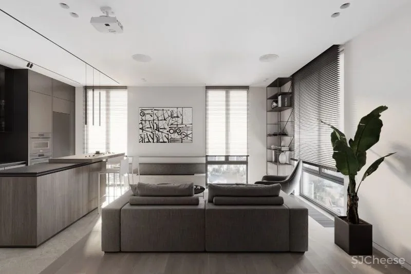 黑与白搭档的轻奢空间