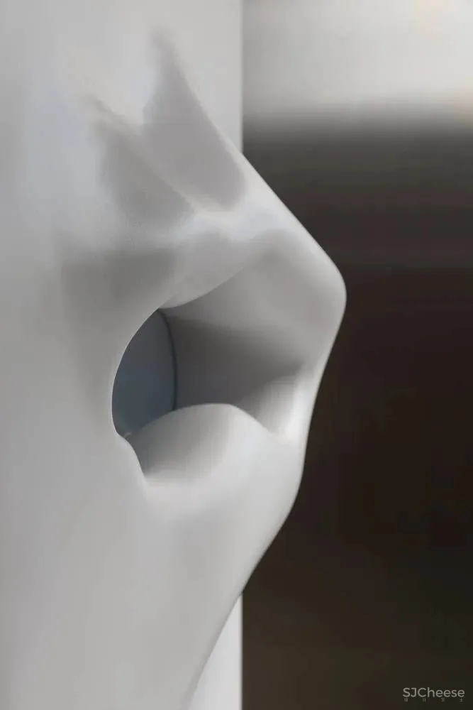 Softie Interior Renovation OPA Architects