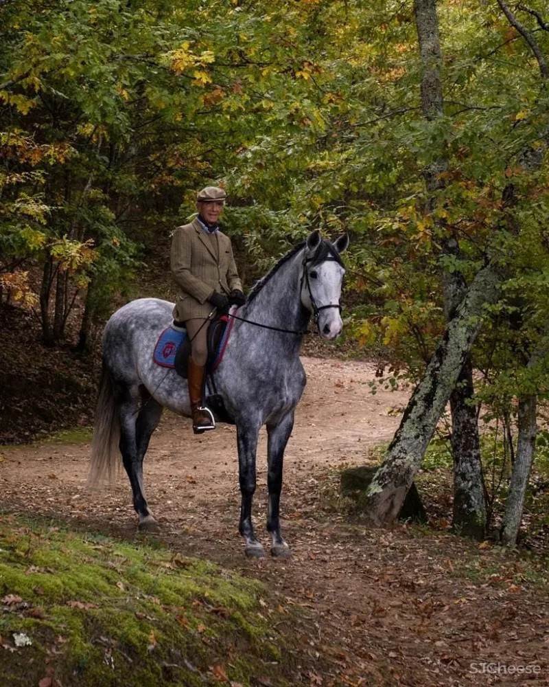 永 恒 的 静 修 一千多年历史的意大利城堡庄园酒店揭幕!
