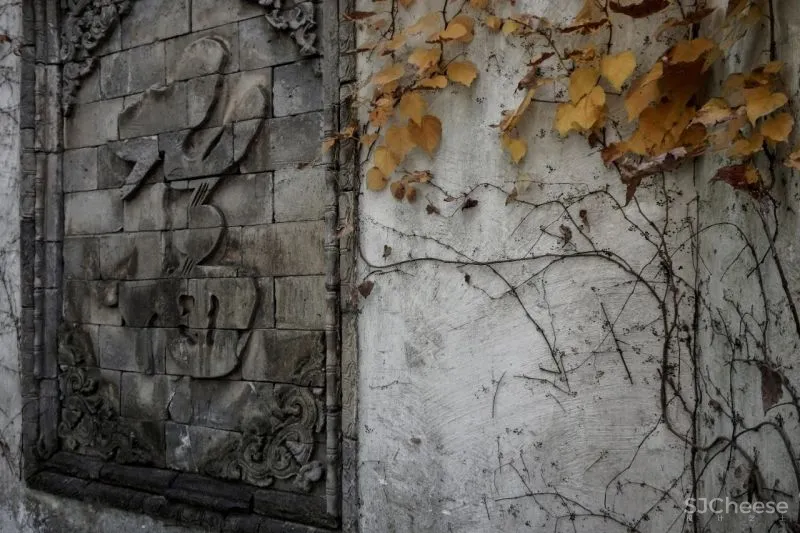 萧爱彬:二十年的蜕变,一步一景的惬意桃源