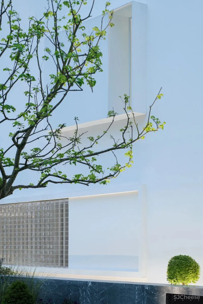 Apperceive ｜白色“盲盒”