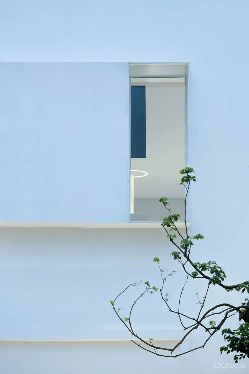 Apperceive ｜白色“盲盒”