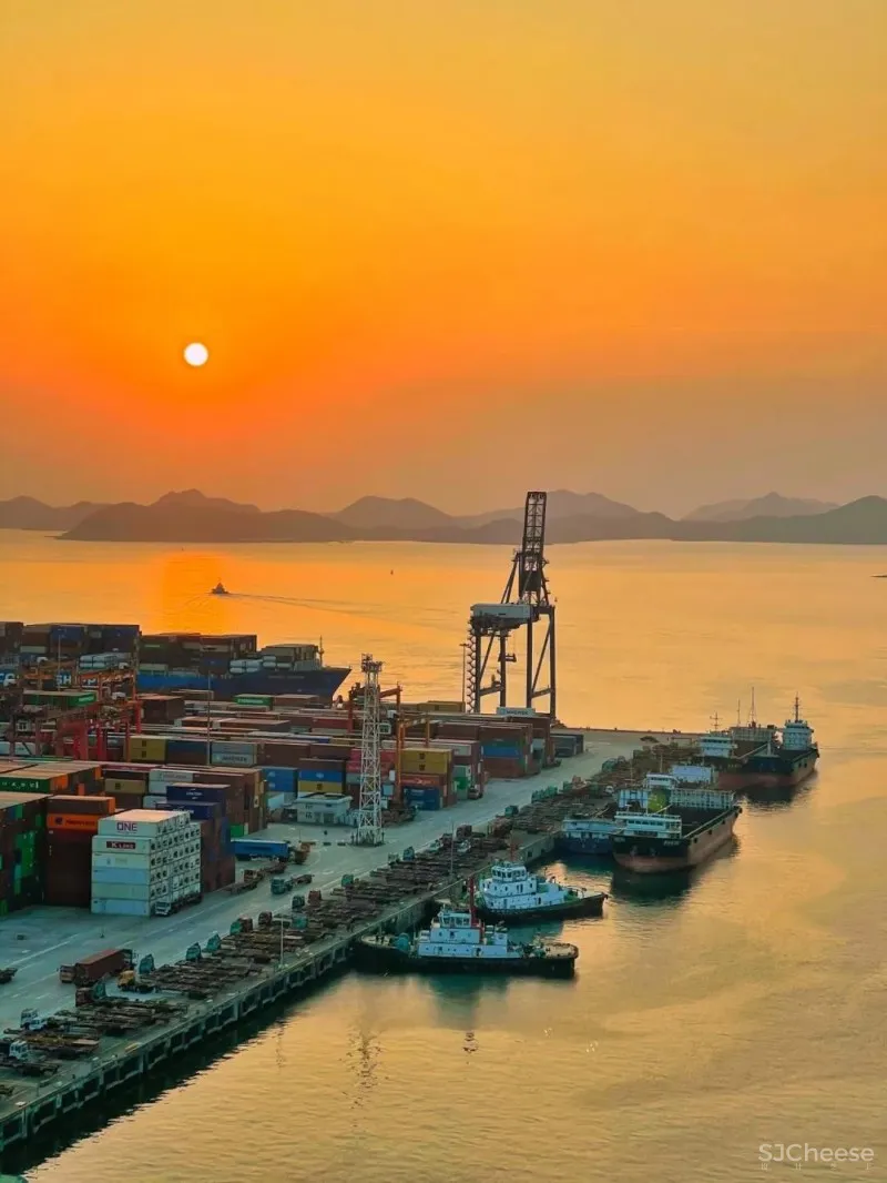 TT新作 | 我们在山海间,种下了一个海洋梦