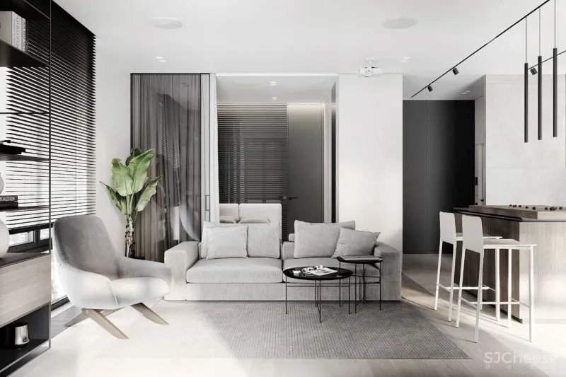 黑与白搭档的轻奢空间