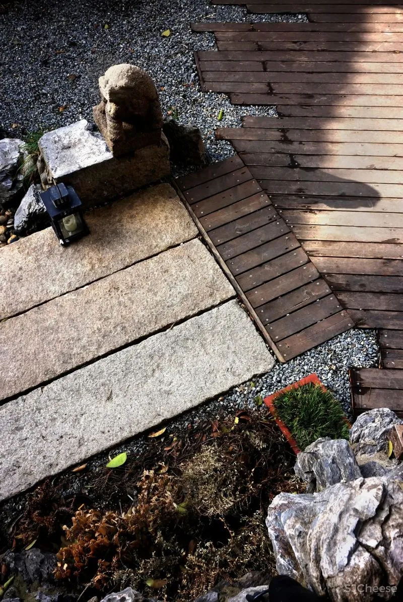 萧爱彬:二十年的蜕变,一步一景的惬意桃源