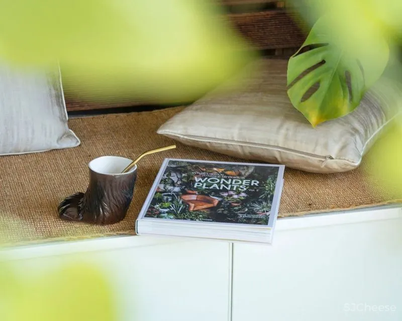 去风格,去浮华!看小红书博主如何把阳光法式搬进家