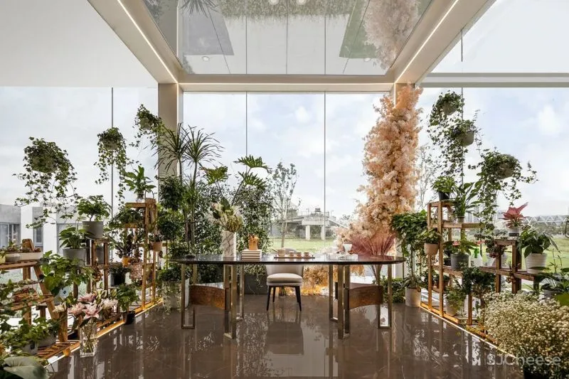 CLV - 金地:穿越四维盒子,品味生活甜与涩