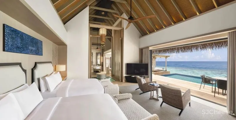 56万一天的私人岛屿火了！独享30000㎡世外桃源，网友：居然还很划算！