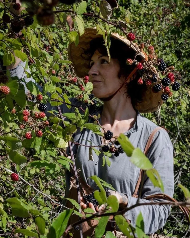 永 恒 的 静 修 一千多年历史的意大利城堡庄园酒店揭幕!