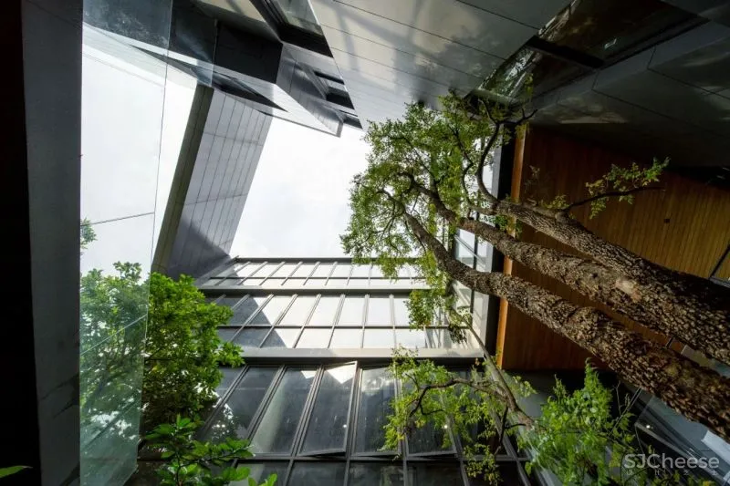 1545㎡大别墅,超梦幻设计!