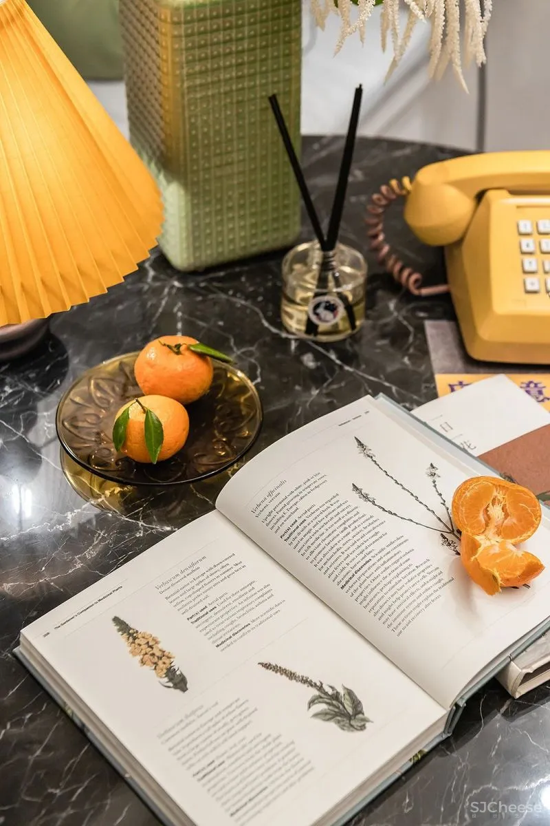 大朴-勿量:颜值与韵味并存,真正的老上海烟火气