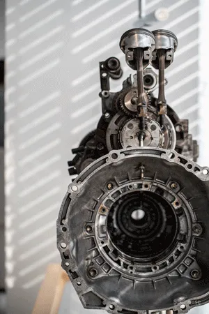 共生形态 未来公式——科技与情感的营造