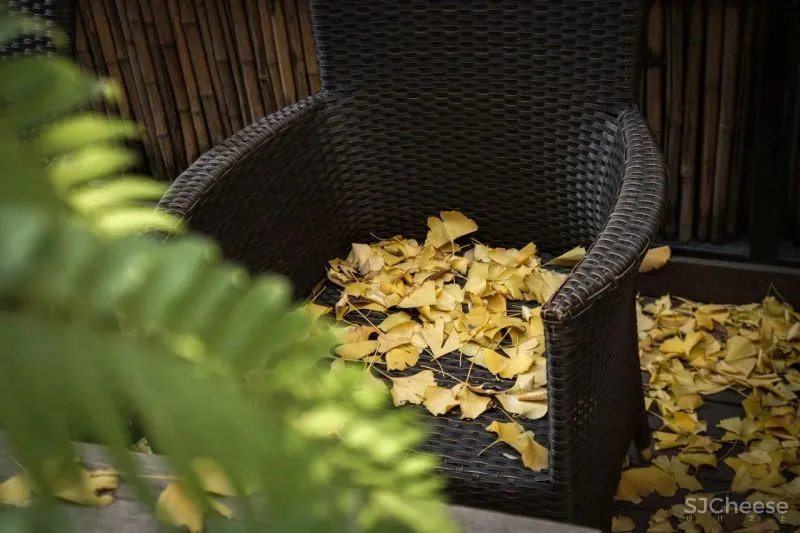 萧爱彬:二十年的蜕变,一步一景的惬意桃源