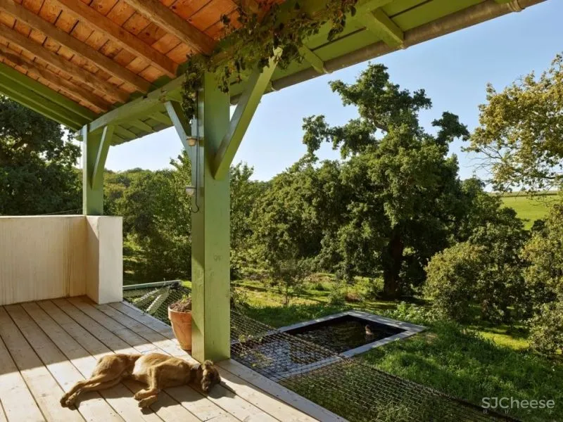 惬意时光爱上慢生活