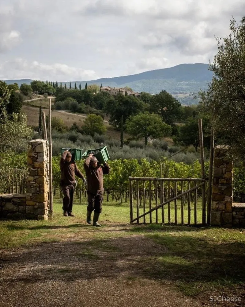 永 恒 的 静 修 一千多年历史的意大利城堡庄园酒店揭幕!