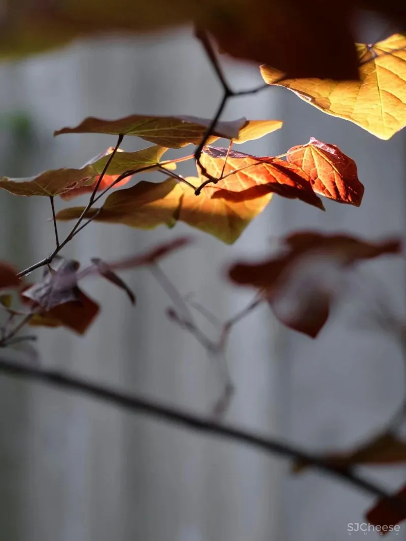 色彩纹理,柔软心里