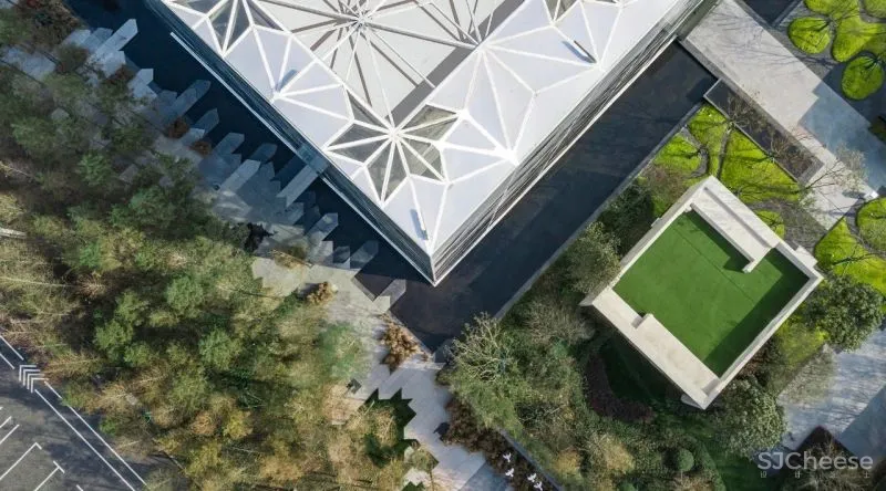 杉•艺术空间，“杉林秘境”中赴一场光影奇旅 RWD 黄志达