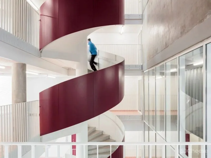 楼 梯 [ lóu tī ]