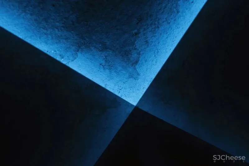 一群从北上广回来的甜野西藏男孩,偏偏在“拉萨村”做了一件很酷的事情!