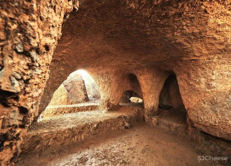 石上纯也新作,屋顶有59个洞,却没一根柱子!