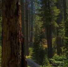 环球融创·江口水镇精品民宿 于山水之境 寻古雅之所 ！