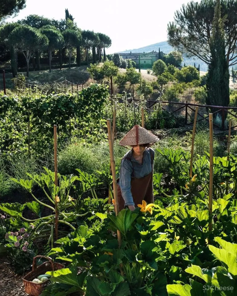 永 恒 的 静 修 一千多年历史的意大利城堡庄园酒店揭幕!