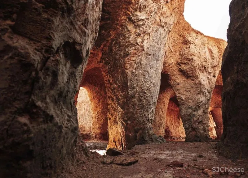 石上纯也新作,屋顶有59个洞,却没一根柱子!