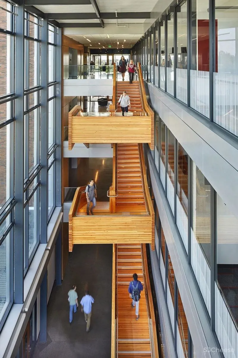 楼 梯 [ lóu tī ]