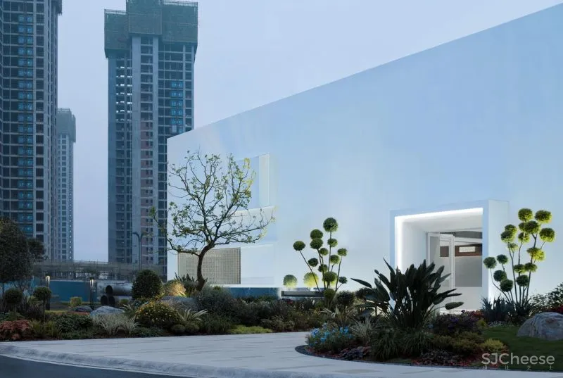 Apperceive ｜白色“盲盒”