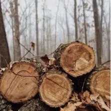 环球融创·江口水镇精品民宿 于山水之境 寻古雅之所 ！