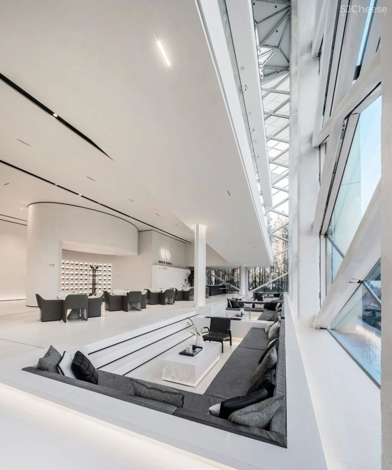 杉•艺术空间，“杉林秘境”中赴一场光影奇旅 RWD 黄志达