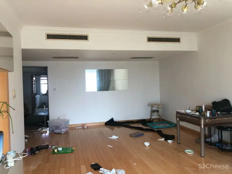 一个人的豪宅!90小伙买下195㎡江景房,猫房装「空调」,真的凡尔赛!