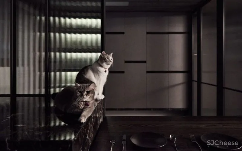 比高级灰更酷的是高级黑