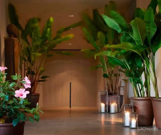 Yabu Pushelberg-夏威夷Edition现更名为Modern Honolulu