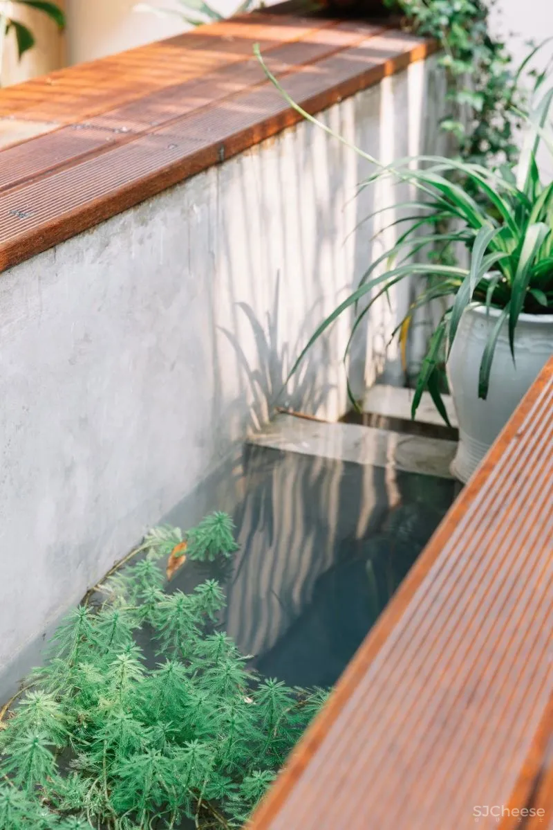 重庆鬼才设计师,教科书级别改造,地窖变身阳光房