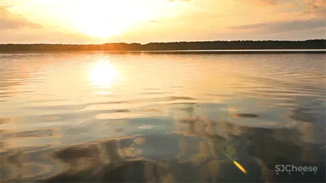 杜文彪 ｜新作 柔性之美 苏州德尔壹号院办公展示样板 ｜办公