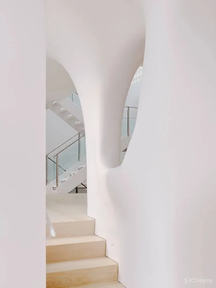 Softie Interior Renovation OPA Architects