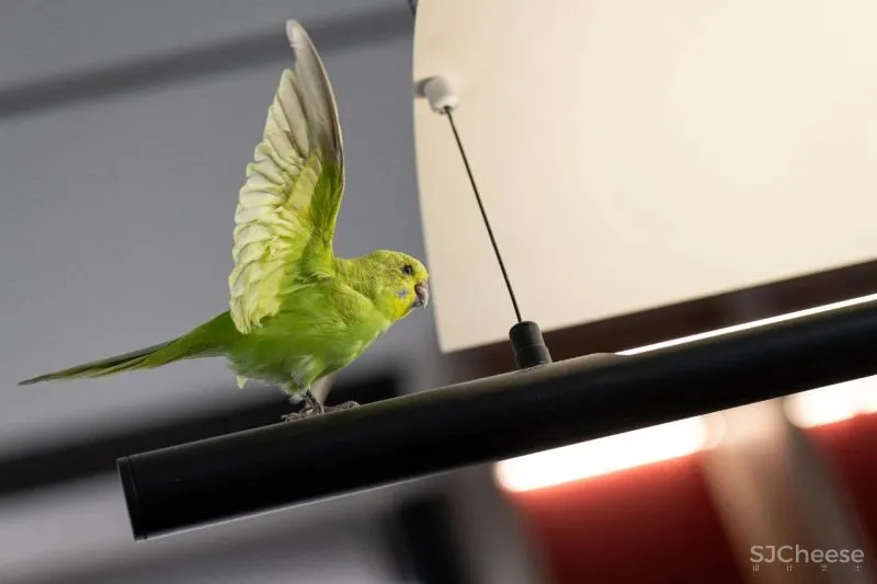 中南·春风南岸:演绎东方韵味 EASE 自在