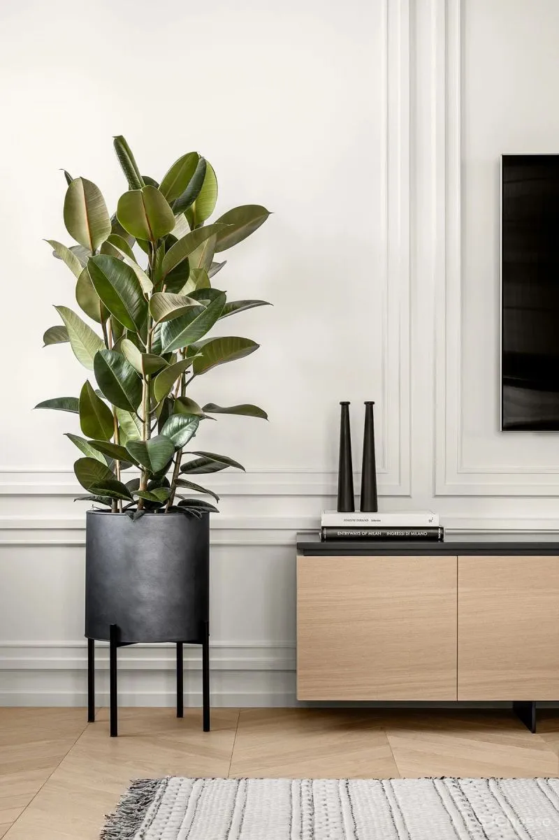 像森林的风,像湖面的波,像娇嫩的花!这间146平米住宅太清新了