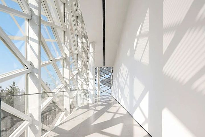 杉•艺术空间，“杉林秘境”中赴一场光影奇旅 RWD 黄志达