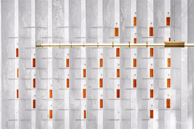 YuQiang - LSD 当代设计与艺术逻辑