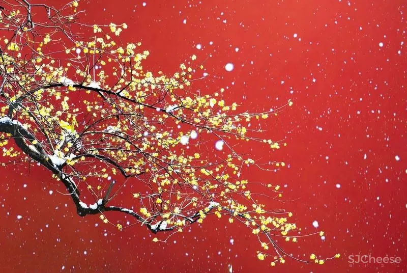 【元宵佳节】最美中国红，让爱回家团圆！