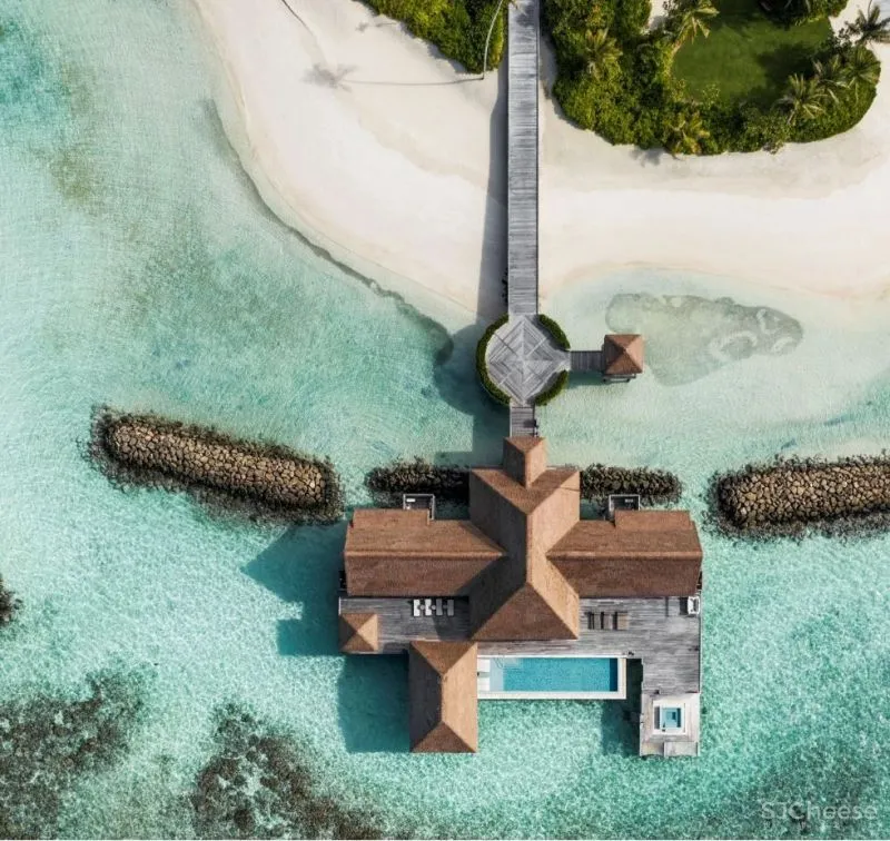 56万一天的私人岛屿火了！独享30000㎡世外桃源，网友：居然还很划算！