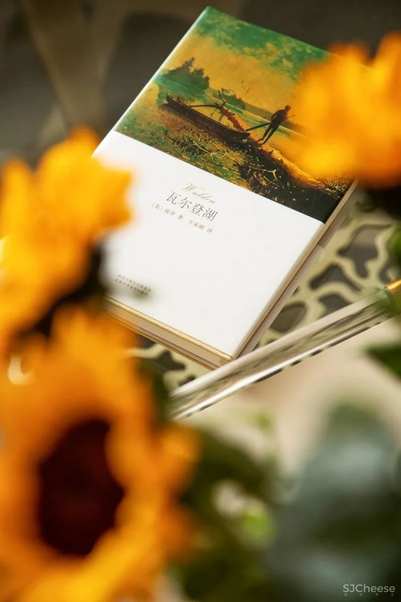 简约美式，浪漫不失温馨的优雅美居 漾设计