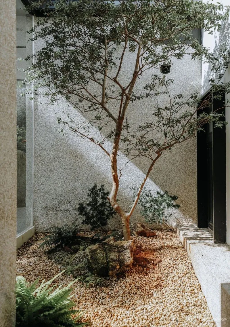 鼓浪屿老屋爆改民宿,这设计太美了! 至少是设计