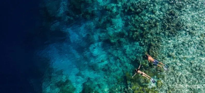 56万一天的私人岛屿火了！独享30000㎡世外桃源，网友：居然还很划算！