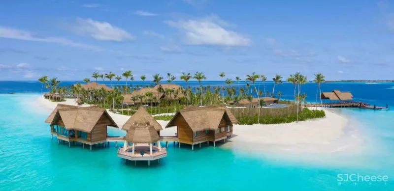 56万一天的私人岛屿火了！独享30000㎡世外桃源，网友：居然还很划算！