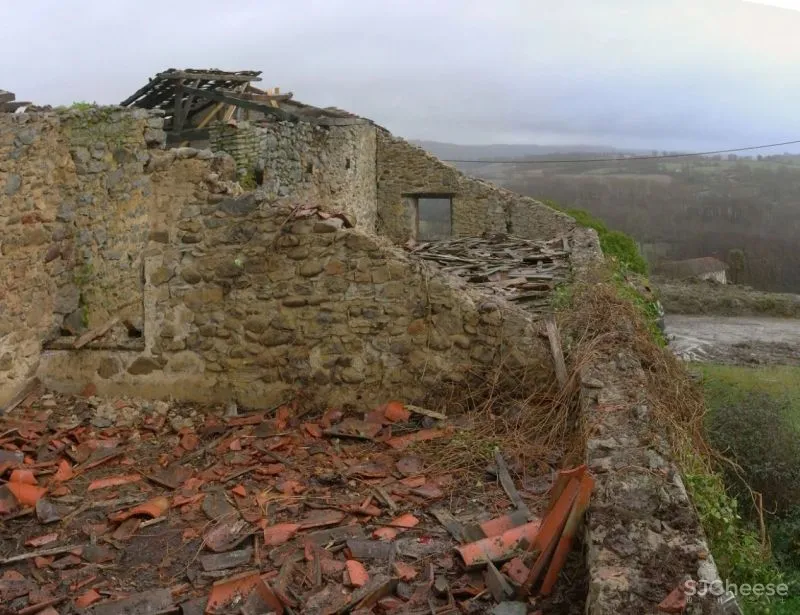 惬意时光爱上慢生活